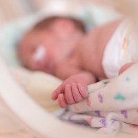 Neonatal Neurology Utrecht (@neonatalneurou) 's Twitter Profile