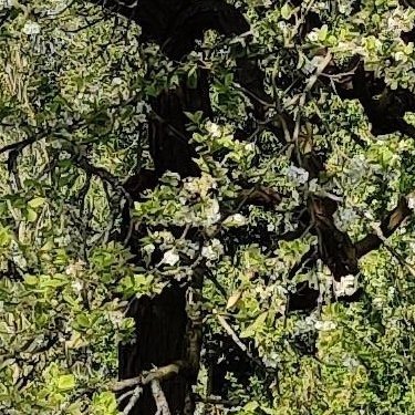 ljthomasg's profile picture. Follow me and I will block you :-)