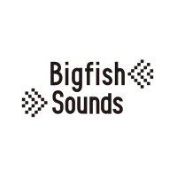 Bigfish Sounds (@bigfishsounds) Twitter profile photo