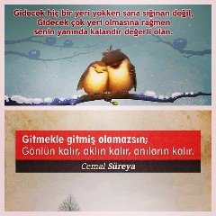 krissgwhallacv's profile picture. Access to music