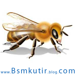 A bee-honey related Comercial organisation/farm in Assam. We provide all type of honey bee product &  related material..