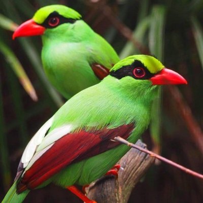 Nahshon001's profile picture. Researcher@Nex Research & Consulting II
Social Developement Promoter II
Child and Right Based Dev Advocate II
Environmental Enthusiast II