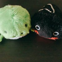 たるお (@jbx_i2) 's Twitter Profile