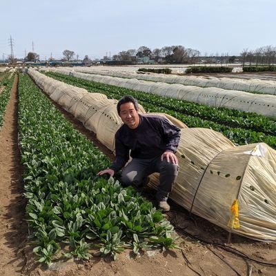 埼玉県狭山市で農業やってます。
ほうれん草　枝豆　みず菜　里芋　長ネギ　玉ねぎ　等作ってます。
東京農業大学農学部卒