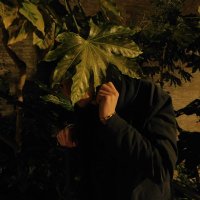 Papy (@papytwico) 's Twitter Profile Photo Papy (@papytwico) 's Twitter Profile Photo