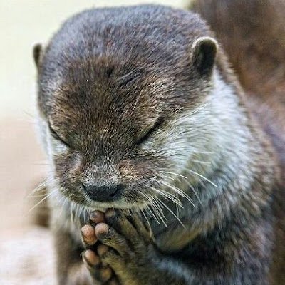 chunlee27232805's profile picture. 