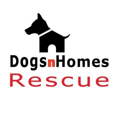 DogsnHomes 🐶