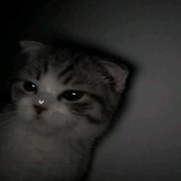 KW4NXG's profile picture. 