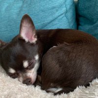 Ur1y🌏 (@mu1mu12) 's Twitter Profile