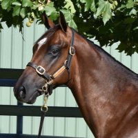 Willow Dale Farm (@farm_dale) 's Twitter Profile