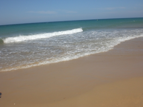 AnadSevilla's profile picture. Orgullosa de ser Nasherarka de nacimiento =). Aupa Athletic!!! El mejor equipo jejeje =D. Me encanta Ken Zazpi, Hesian, BTX... Eñautera :)