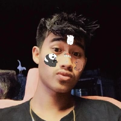 Donovan48867953's profile picture. singel