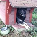 James Senger - @02_green - Twitter