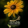 aliali123451971's profile picture. هندسة الوان و دهانات حوائط
