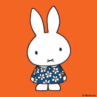Miffysaurus π°π¦π³π±πͺπΊπ¬π§ (@catherrs) 's Twitter Profile