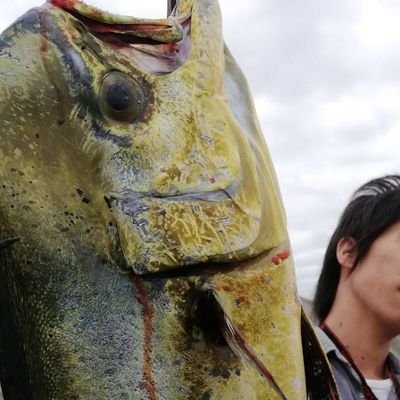 superhihourush's profile picture. 神戸周辺で気ままに海釣り
ルアーでも餌でも

　　スマスロハーレムエース買いました

　　ギルティギアACちょろちょろ配信してます
https://t.co/PHVA27t8AM