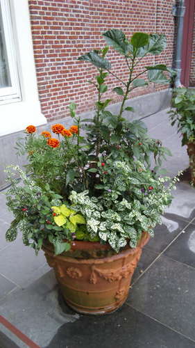 glamslam1222's profile picture. 