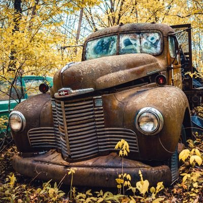 degenscrap's profile picture. Looking for gold within thrash. Professional degen that has survived multiple rugs in succession. Still searching for my lucky break.