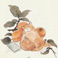 Anna Svezhentseva (@a_svezenceva) 's Twitter Profile