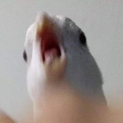 songsong662's profile picture. 