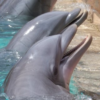 nanaswinnie's profile picture. 