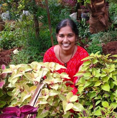 K12Bindu's profile picture. 