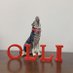 OLLI at NC State (@ollincstate) Twitter profile photo OLLI at NC State (@ollincstate) Twitter profile photo