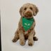 Willow Greenside (@greensidewillow) Twitter profile photo Willow Greenside (@greensidewillow) Twitter profile photo