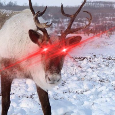 RodolfoHodls's profile picture. 