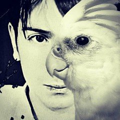 licanfandersom's profile picture. Pax/ Pax NJROTC