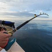 rodallthetime's profile picture. Just a guy with a rod