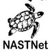 North Africa Sea Turtles Network - NASTNet (@africa_turtles) Twitter profile photo North Africa Sea Turtles Network - NASTNet (@africa_turtles) Twitter profile photo