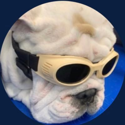 @TheTumboy