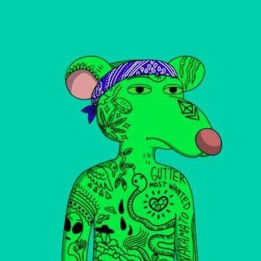 elvis_olga's profile picture. 