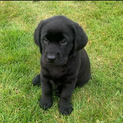 hermosamuneca's profile picture. .