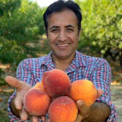 Associate Professor of Horticulture Science at the University of Florida working on fruit crops production and physiology