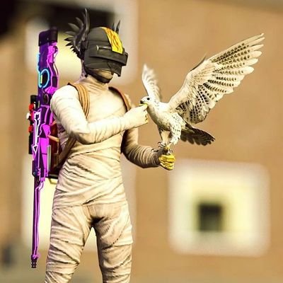 Showflow21's profile picture. 