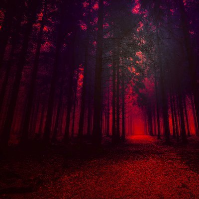 jackdingledong1's profile picture. dingle dongle