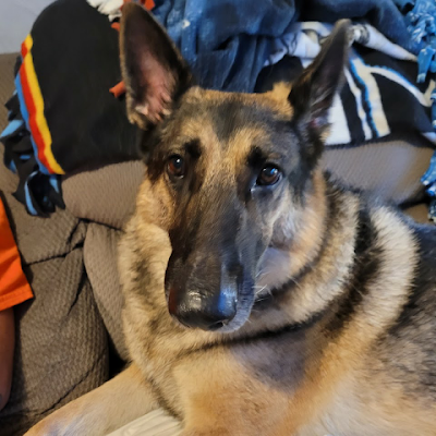 SaraB76642909's profile picture. Just keeping up with the times