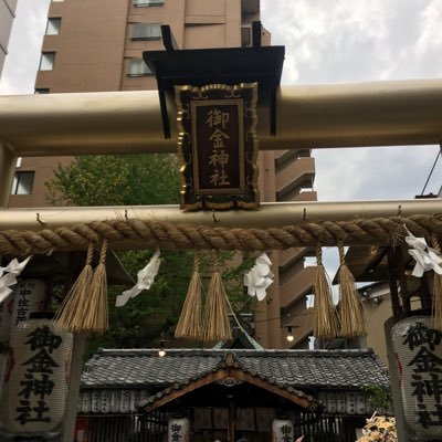 ShopifyでのECサイト制作・運用 | 楽天.Yahoo | Shopify bootcamp3 | デイトラShopify | figma | Klaviyo | ⛺️|⚽️ | ⛳️ | 🍜 | デイトラデザイン