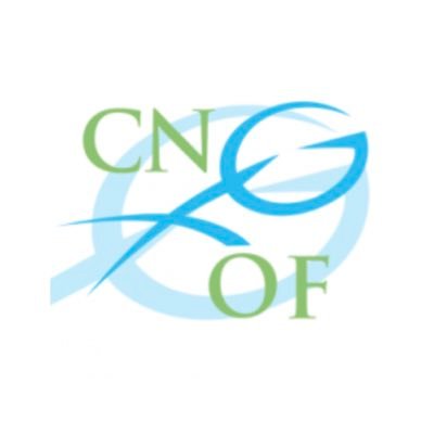 @realCNGOF