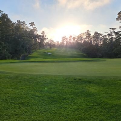 alexleonel2010's profile picture. 