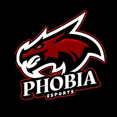 Official Twitter account for competitive NHL Esports team P H O B I A. Owner: Zubov l21l GM: Hall x 71