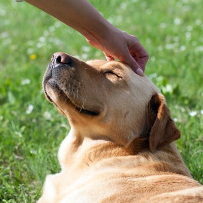 TuMaiAnhDo's profile picture. 