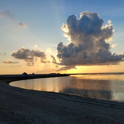 gammaru29's profile picture. 