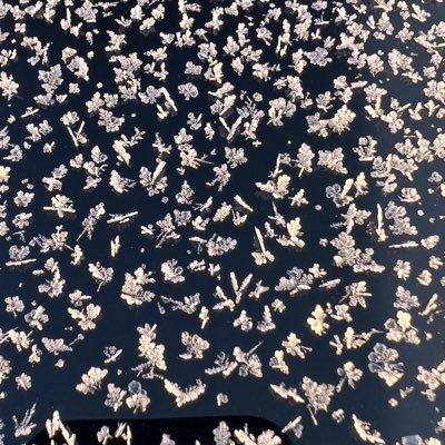 TipTopOrginal's profile picture. ENJOY LIFE..! I NEVER MELT AWAY!