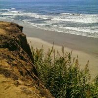 kaykaye (@dabombk1) 's Twitter Profile Photo kaykaye (@dabombk1) 's Twitter Profile Photo