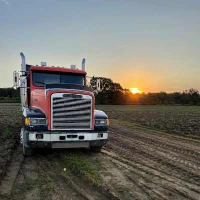 elvisfan657's profile picture. Retired public servant turned farm hand/truck driver. Tired of this inept government. The dictatorship is fast approaching.