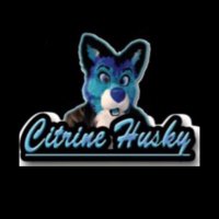 🐾 Citrine Husky 🐾 @ F2 MCFC AO IFC TTFC GFM (@citrinehusky) 's Twitter Profile