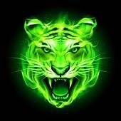 Investor (@iaminvestor_) 's Twitter Profile Photo Investor (@iaminvestor_) 's Twitter Profile Photo